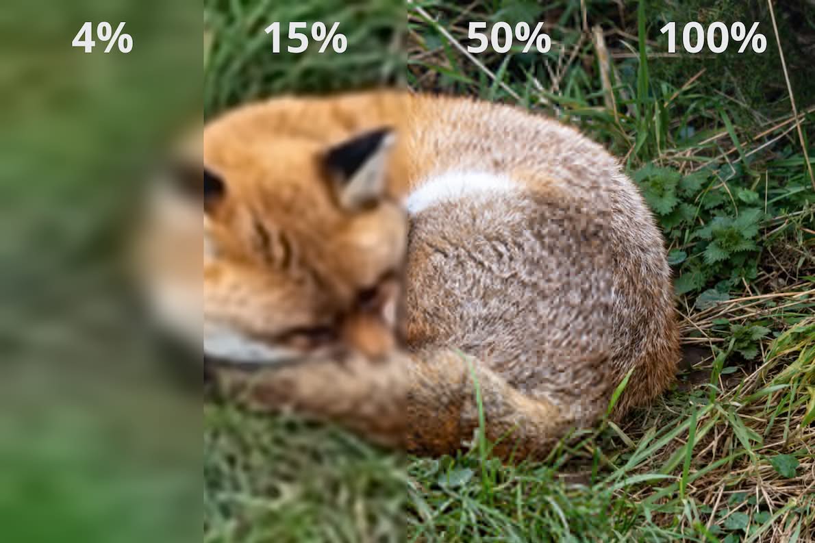 Firefox JPEG XL desteğini yayımlama kararı aldı