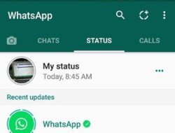 Tiga Metode Unduh Status WA Tanpa Aplikasi Tambahan