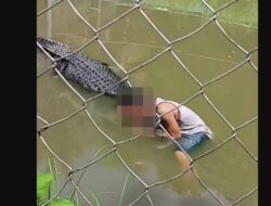 Aksi Selfie Buaya Berujung Maut: Kisah Pilu Kebun Binatang