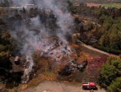 Bencana Kebakaran Hutan Israel: Perubahan Iklim Sebagai Biang Kerok