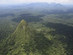 Piramida Misterius Amazon: Temukan Rahasia Terpendam Pedalaman